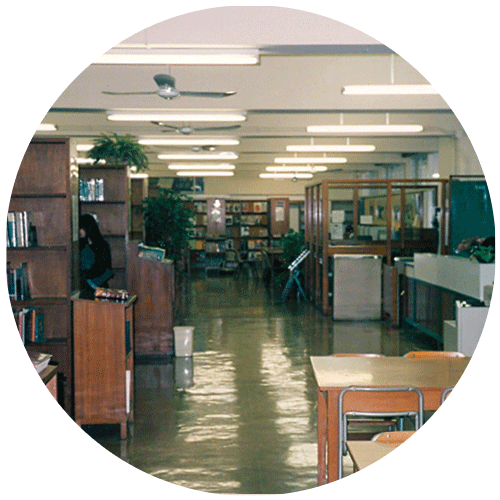 Library interior in 1991